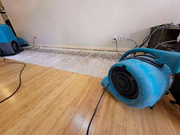 Professional Water Damage Repair technician working in Los Alamos, CA